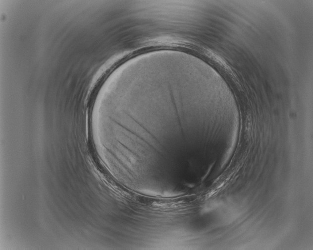 X0000067391323200604211623