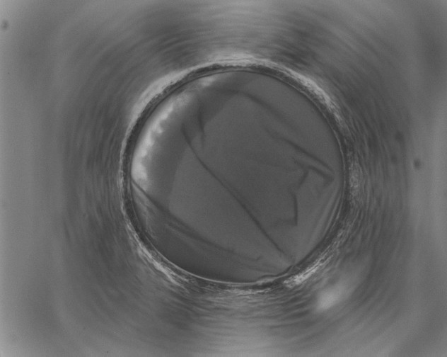 X0000067391327200604211623