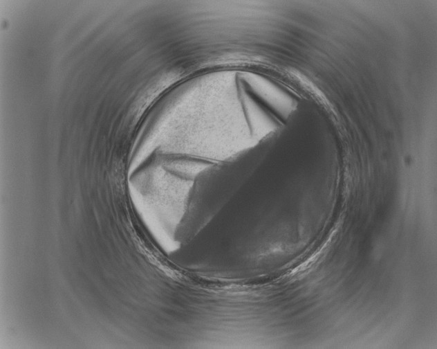 X0000067391329200604211623