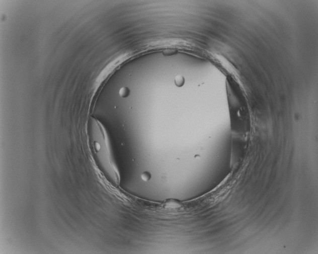 X0000067391330200604211623