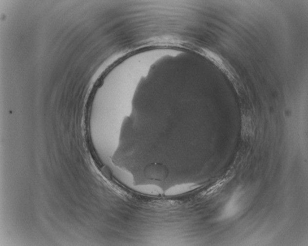 X0000067391331200604211623