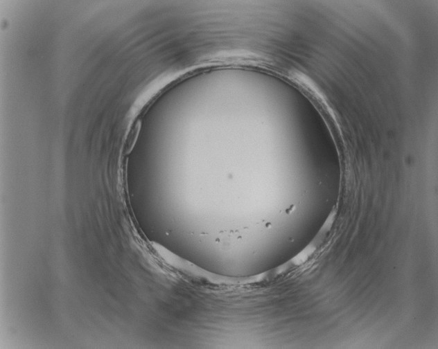 X0000067391336200604211624