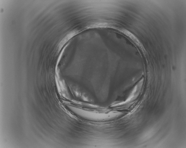 X0000067391337200604211624