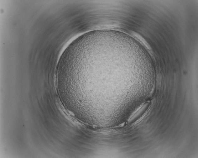 X0000067391340200604211624