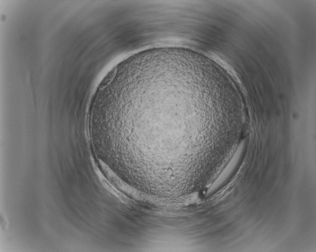 X0000067391342200604211624