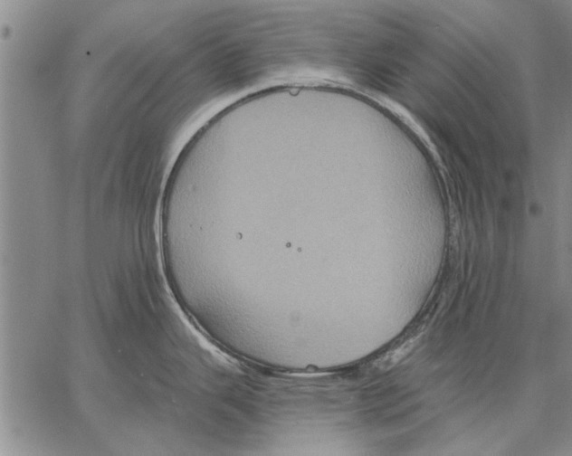 X0000067391343200604211624