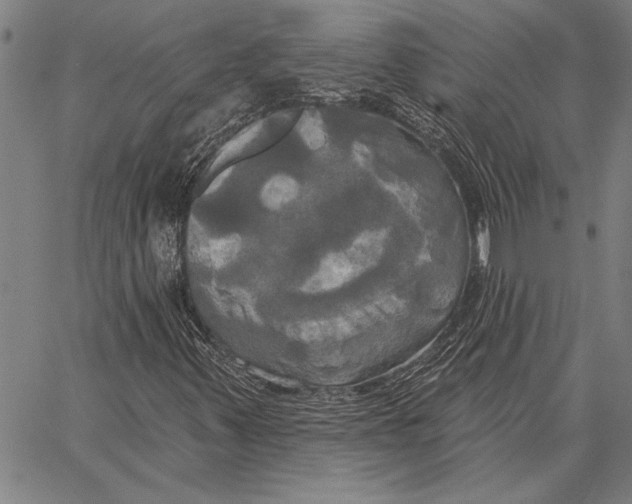 X0000067391347200604211623