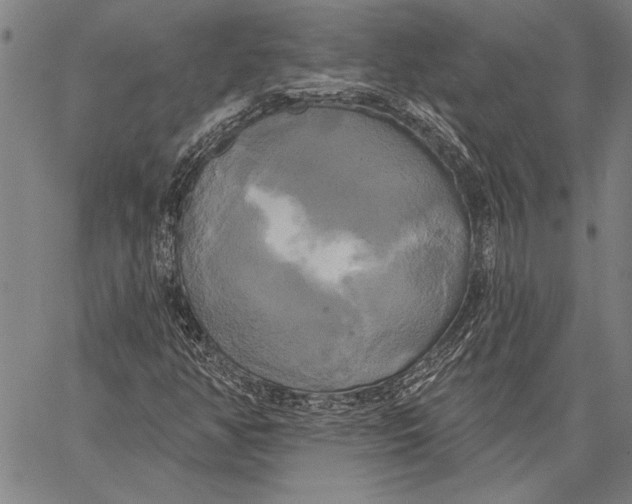 X0000067391350200604211623