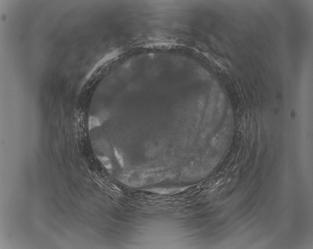 X0000067391351200604211623