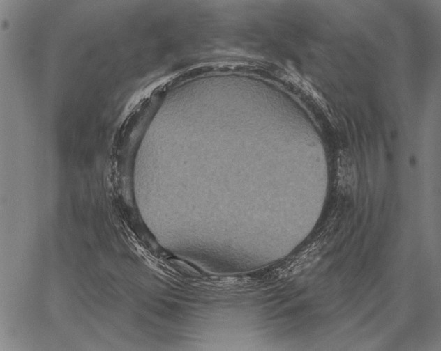 X0000067391352200604211623