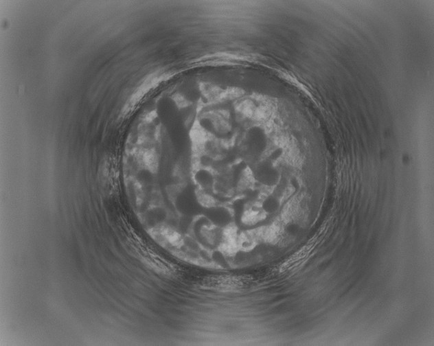 X0000067391355200604211623