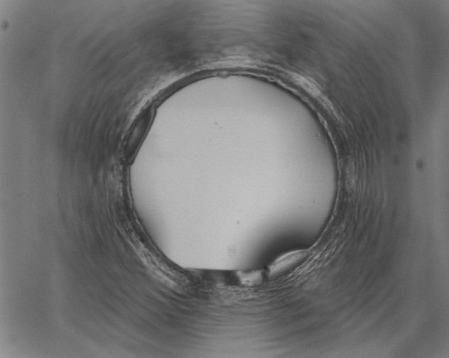 X0000067391356200604211623