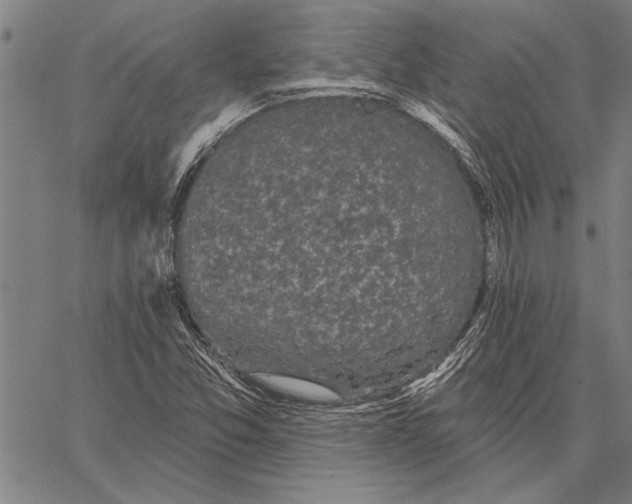 X0000067391357200604211623