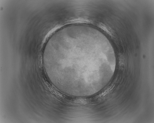 X0000067391358200604211623