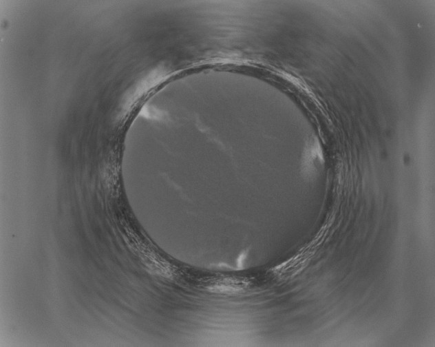 X0000067391359200604211623