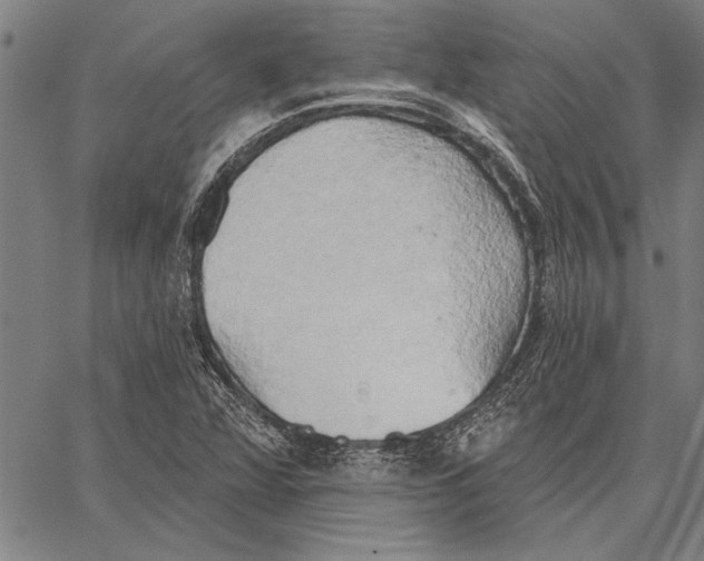 X0000067391360200604211623