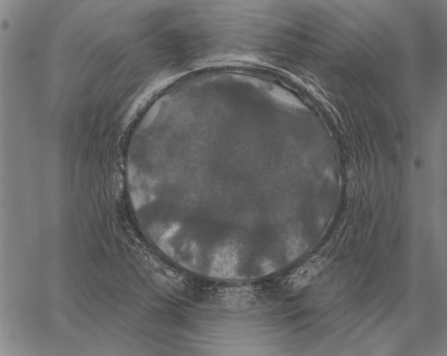 X0000067391363200604211623