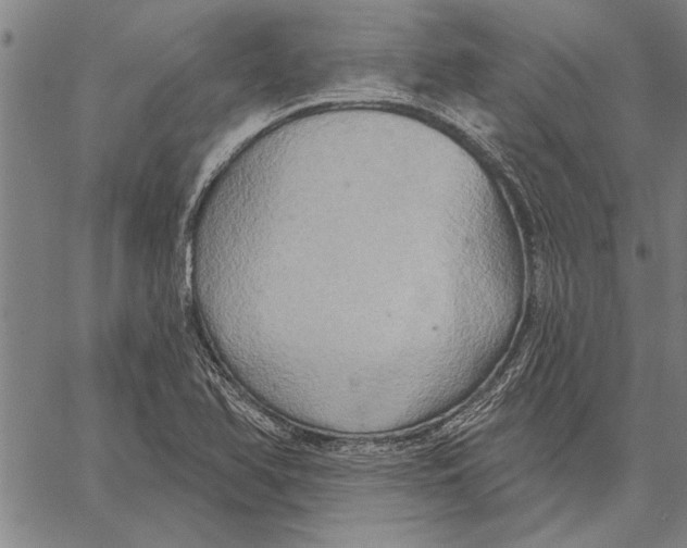 X0000067391366200604211623