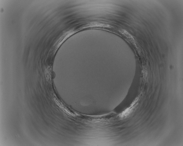 X0000067391369200604211623