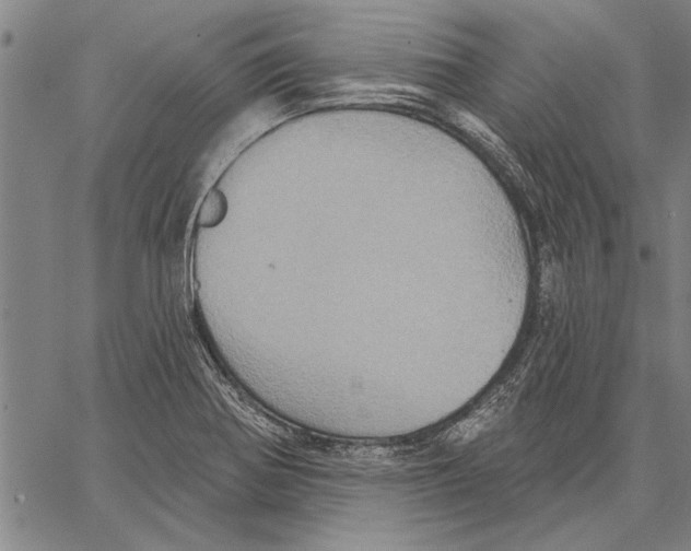 X0000067391370200604211622