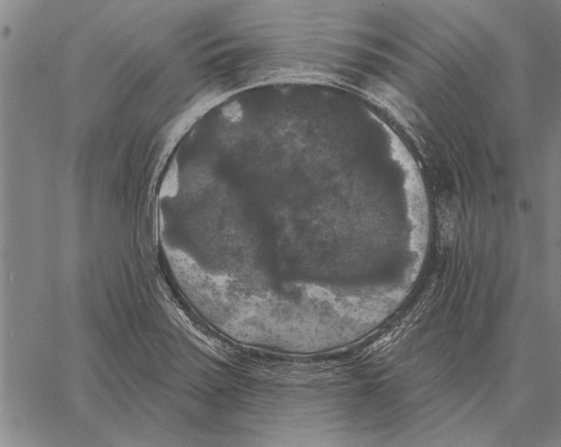 X0000067391371200604211622