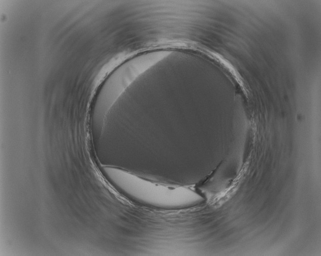 X0000067391373200604211622