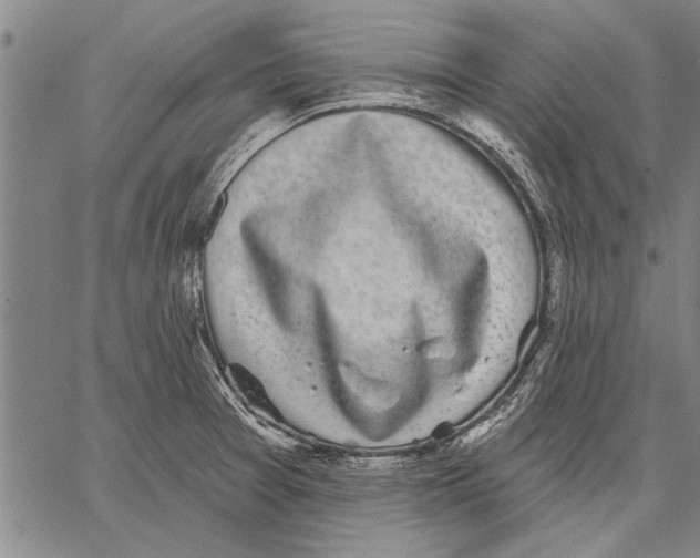 X0000067391377200604211622