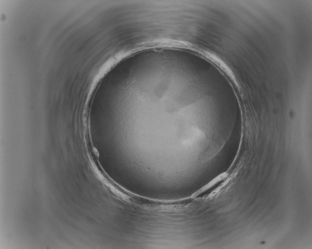 X0000067391381200604211622