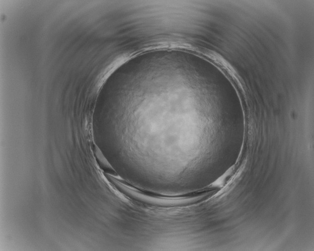 X0000067391385200604211622