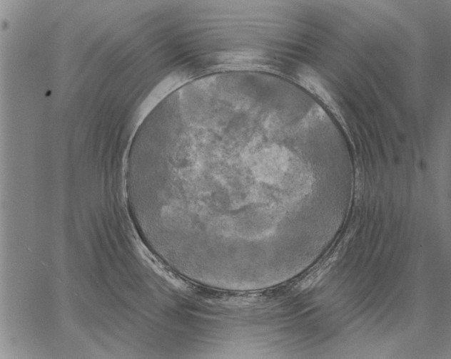 X0000067391386200604211622