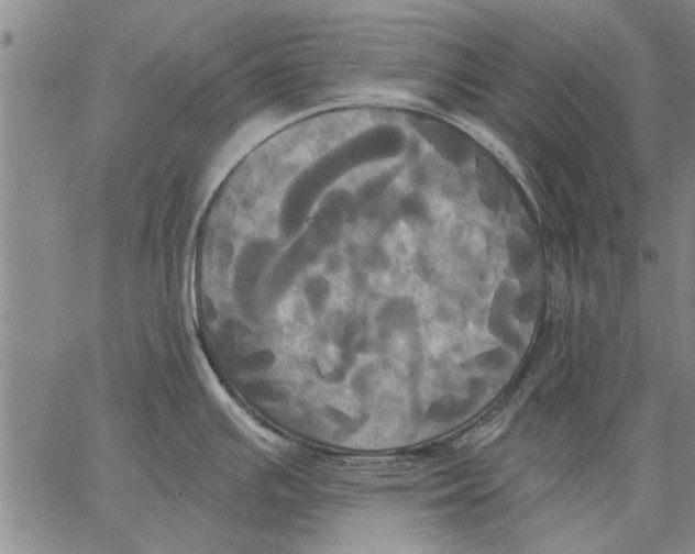 X0000067391391200604211622