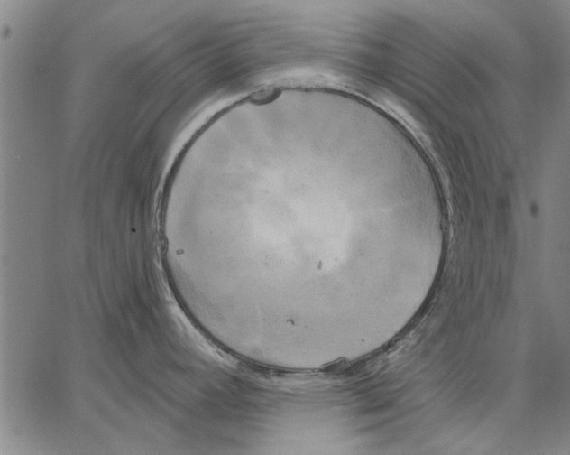 X0000067391392200604211622