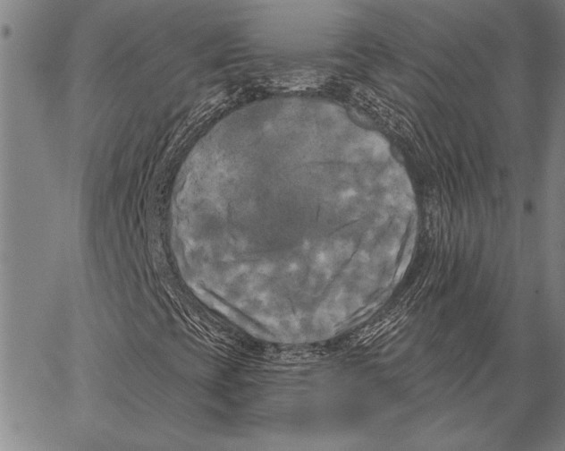 X0000067391393200604211621