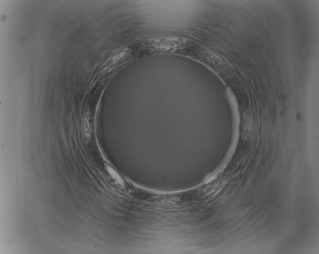 X0000067391394200604211621