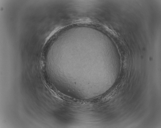 X0000067391400200604211621