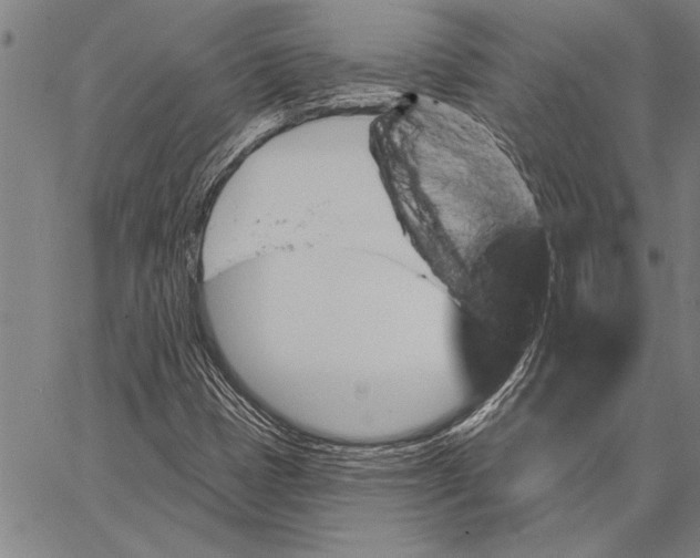 X0000067391401200604211621