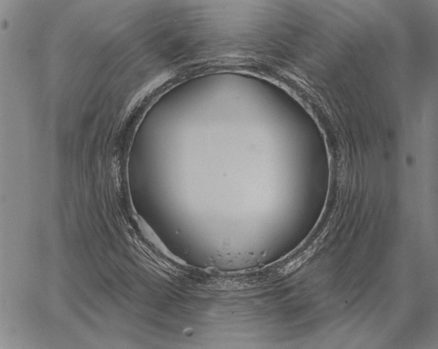 X0000067391402200604211621