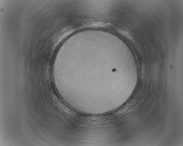 X0000067391404200604211622