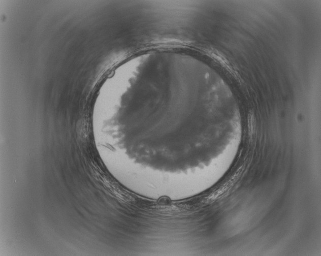 X0000067391405200604211622