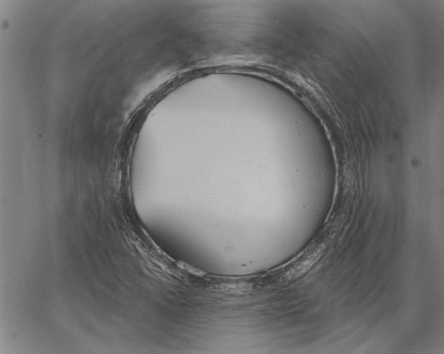 X0000067391406200604211622