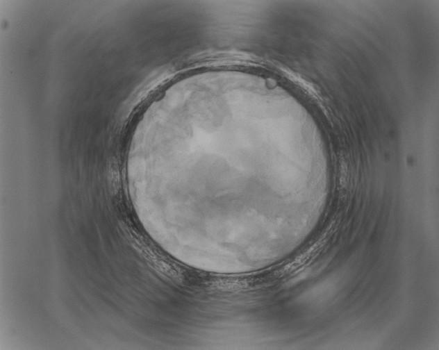 X0000067391407200604211622