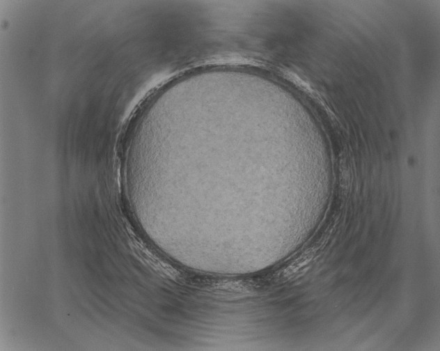 X0000067391408200604211622