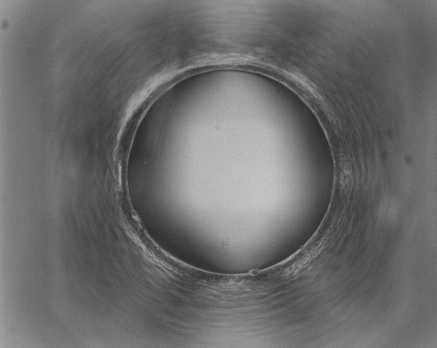 X0000067391414200604211622