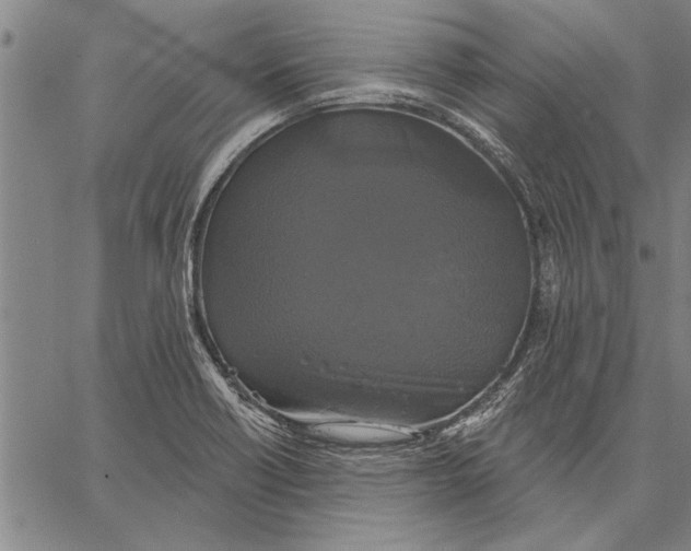 X0000067391418200604211622