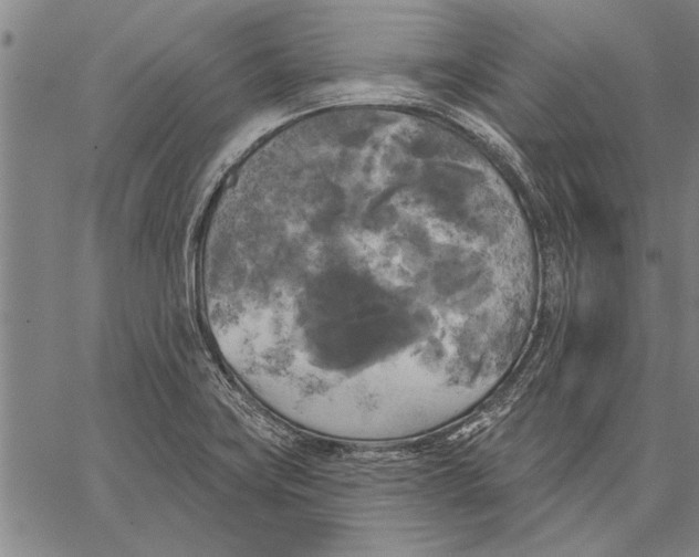 X0000067391419200604211622