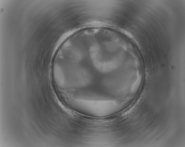 X0000067391421200604211622