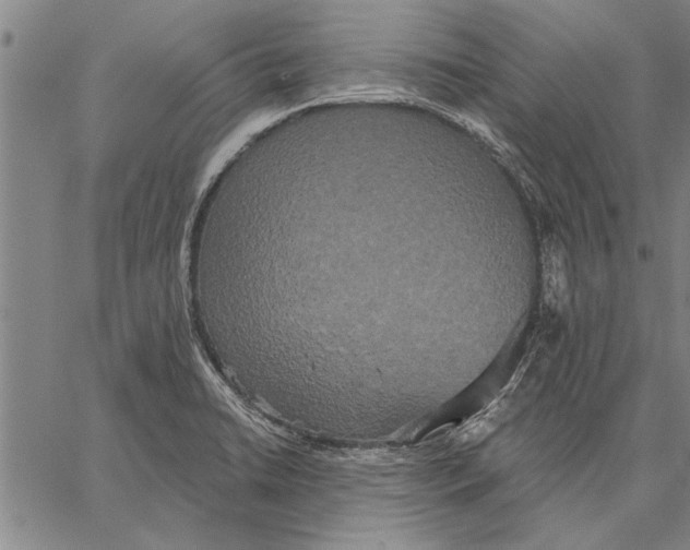 X0000067391422200604211622