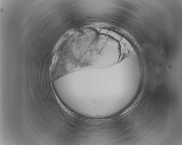 X0000067391425200604211622