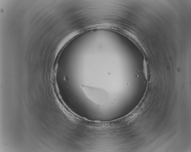 X0000067391426200604211622