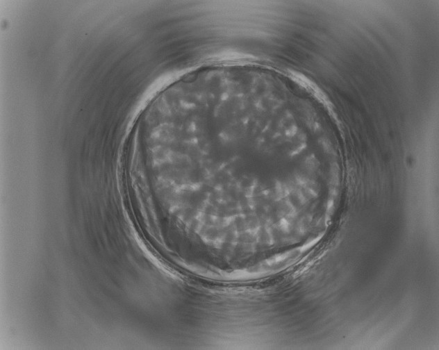 X0000067391429200604211622